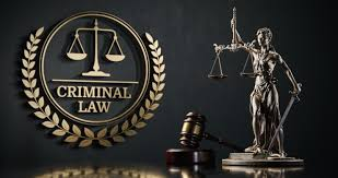 Criminal Litigation